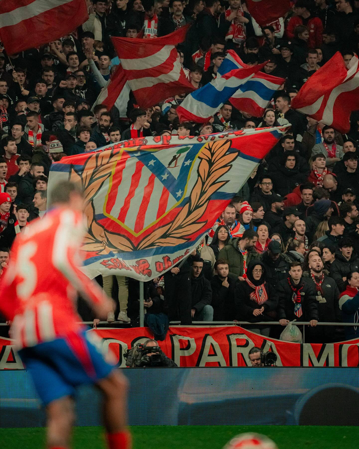 本文用清晰 本文用清晰